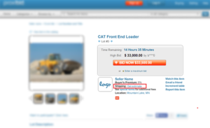 Read more about the article When to place bids in online auctions